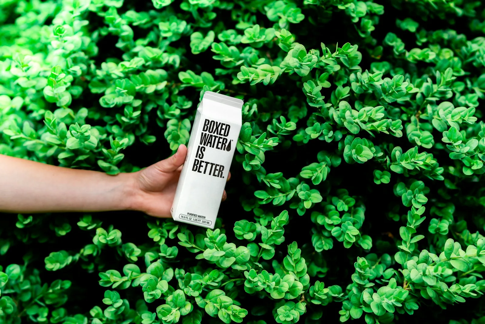 Hand holding a recyclable boxed-water carton in front of green shrubs, an example of sustainable packaging design