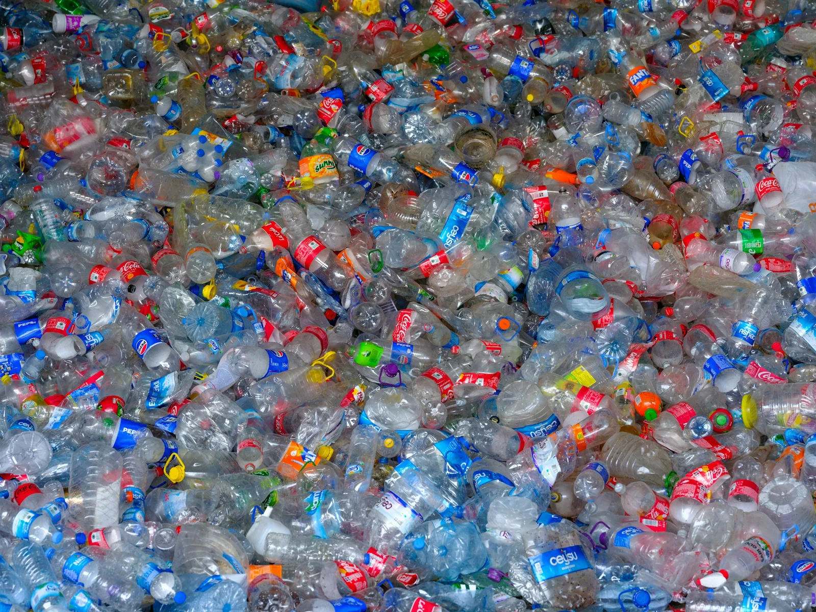 A large pile of plastic bottles representing recycled plastic feedstock